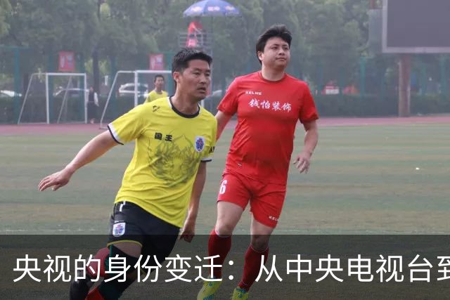 央视的身份变迁：从中央电视台到中央广播电视总台