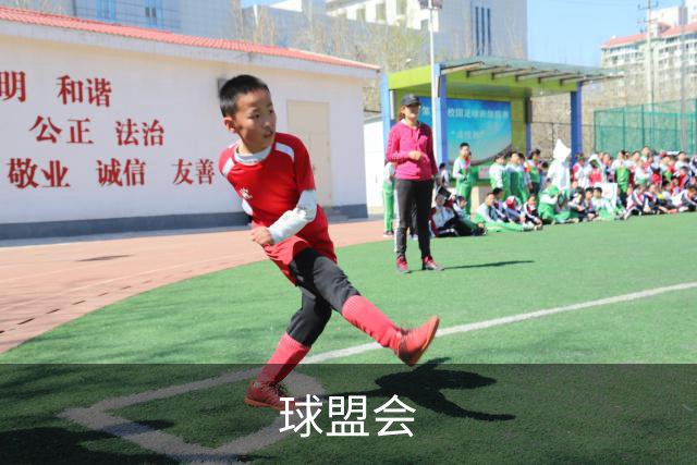 球盟会公司简介展示图